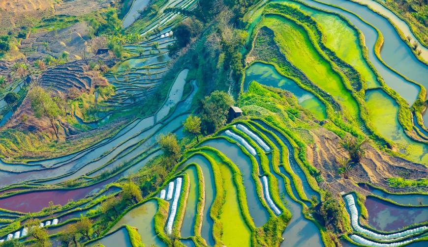 宝妈必备神器：肇东市产品视频拍摄轻松育儿好帮手