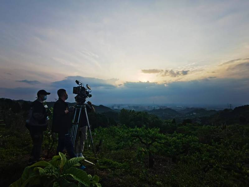 聚焦肇东市产品宣传视频拍摄公司，用专业实力铸就品牌传播传奇